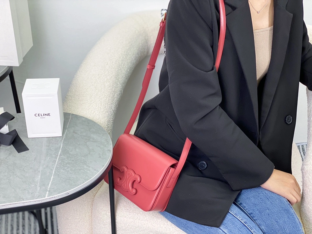 Celine Triomphe Bags TopPick 94541