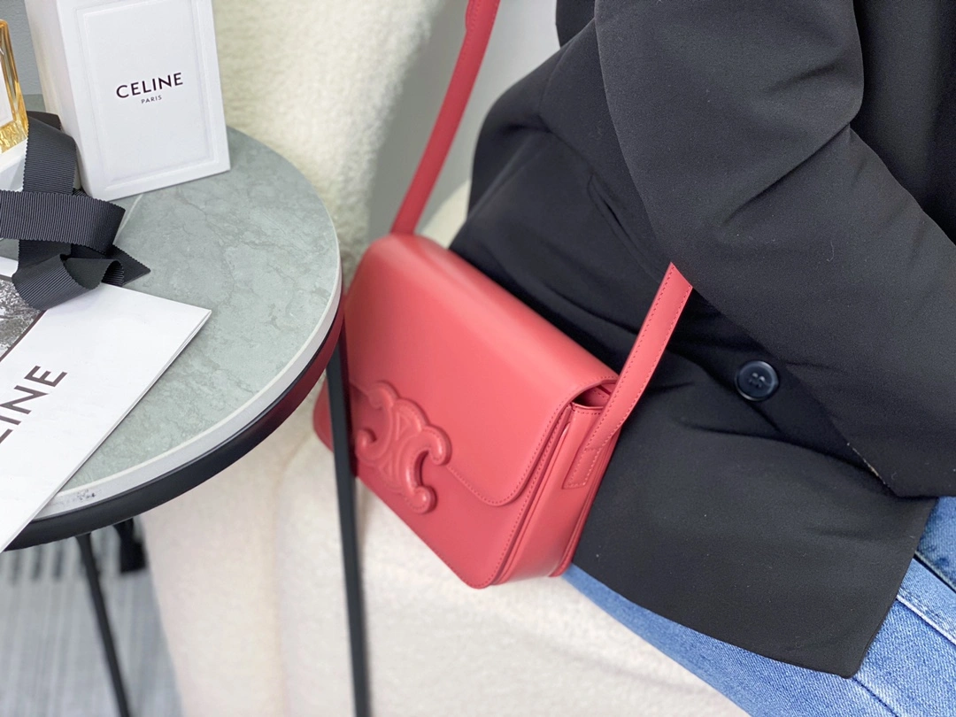 Celine Triomphe Bags TopPick 94541