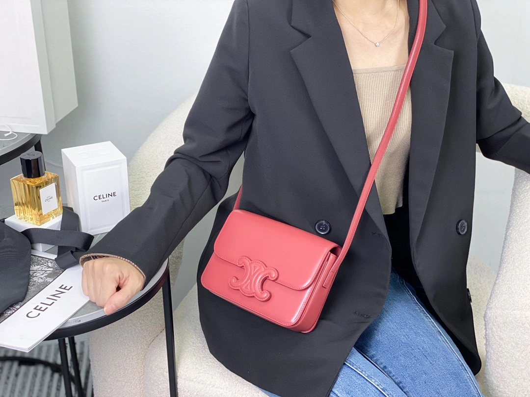 Celine Triomphe Bags TopPick 94541