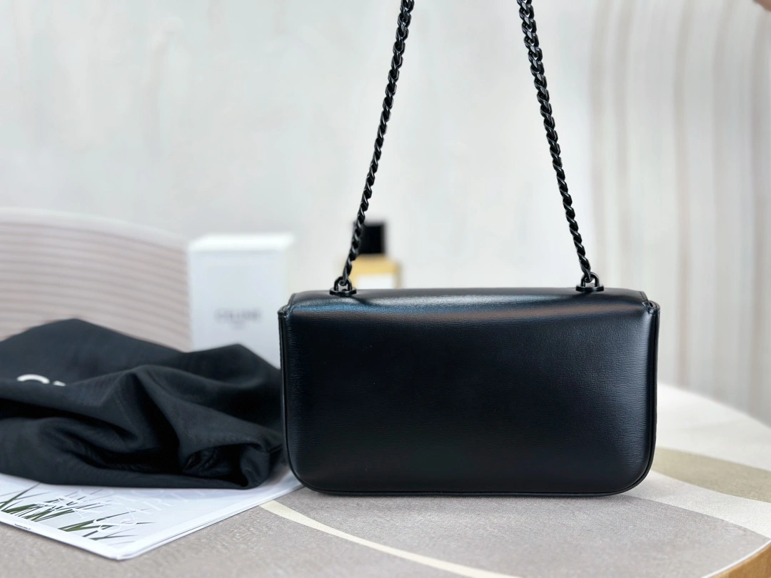 Celine Triomphe Bags WellDesigned 94504