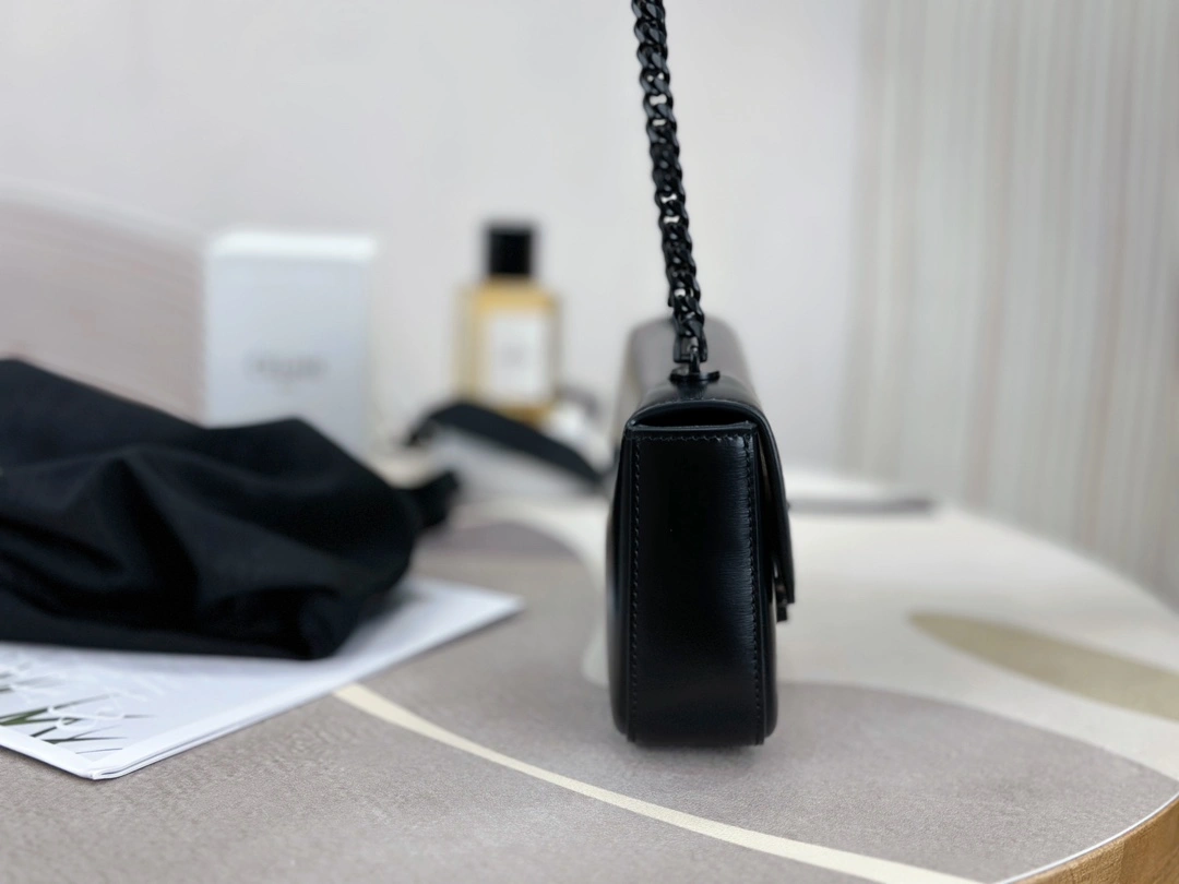 Celine Triomphe Bags WellDesigned 94504