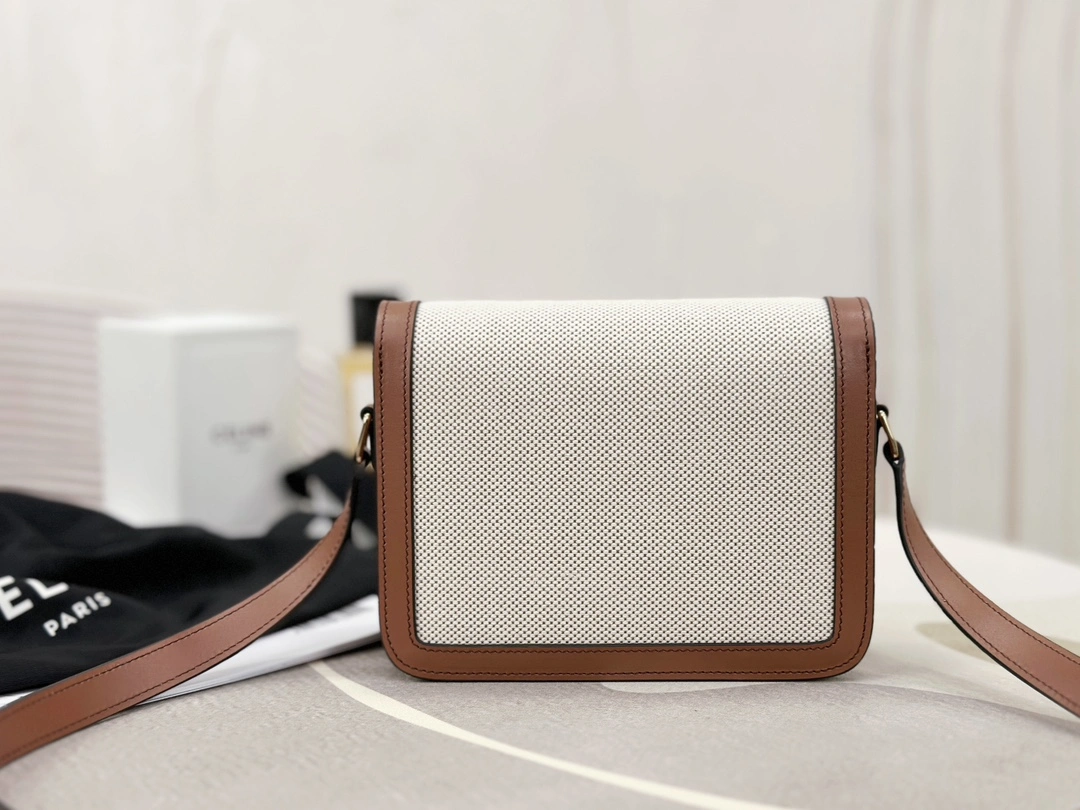 Celine Triomphe Bags BestValue 94499
