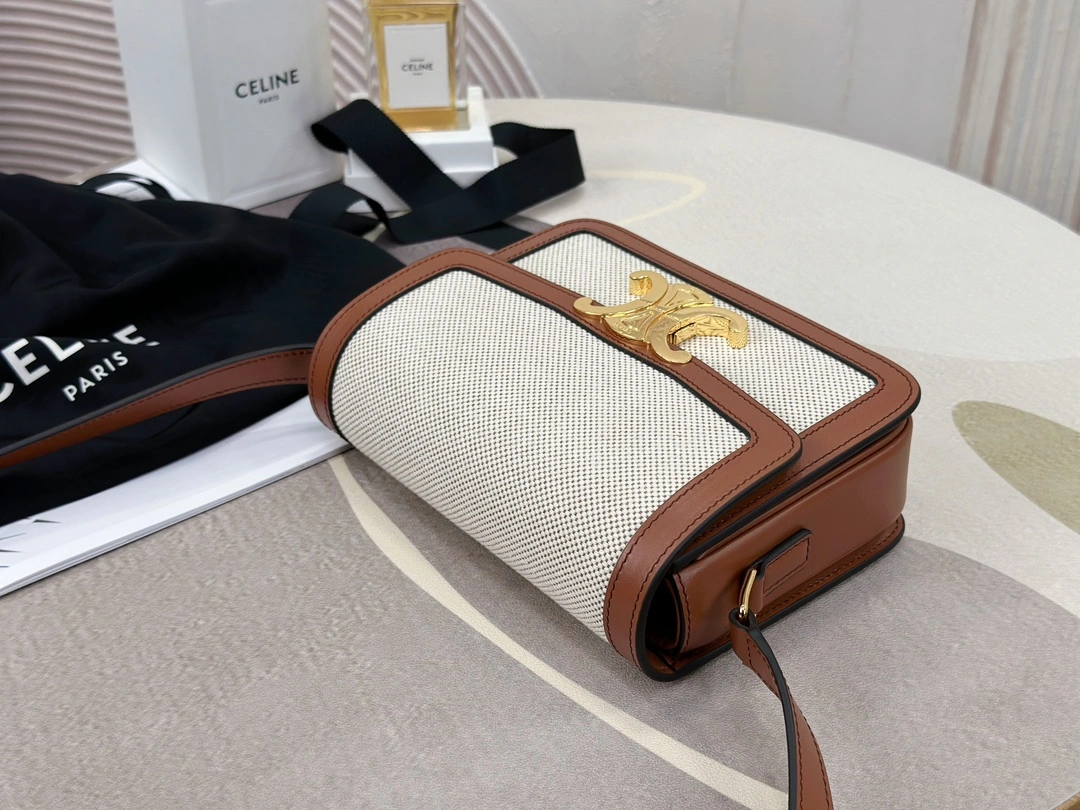 Celine Triomphe Bags BestValue 94499