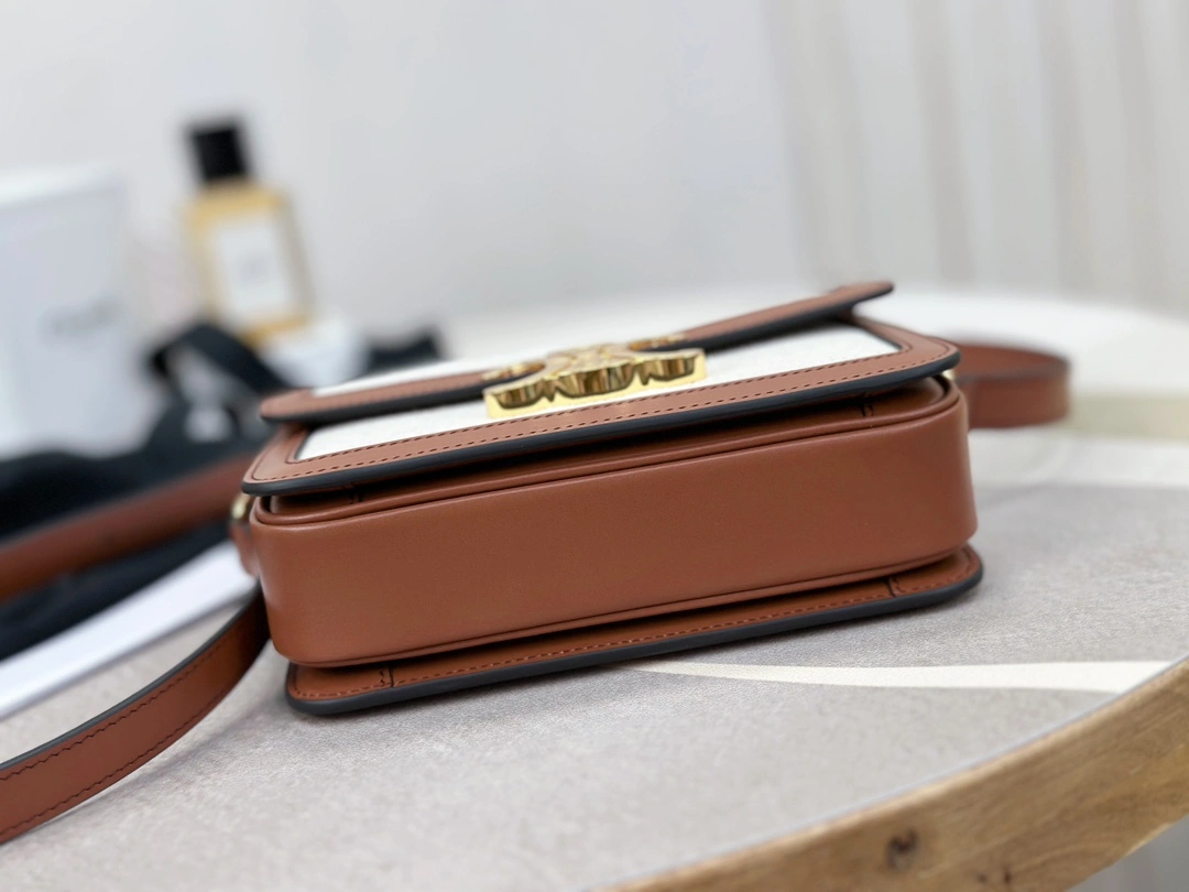 Celine Triomphe Bags BestValue 94499