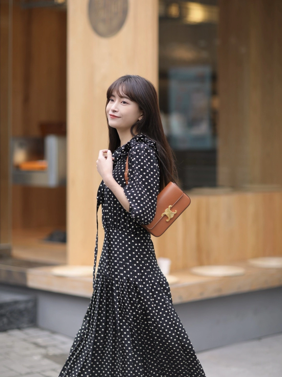 ModernLook Celine Triomphe Bags 94495