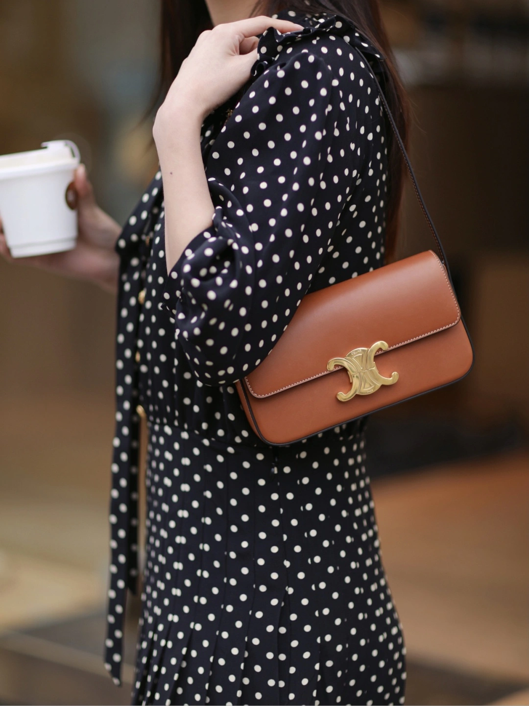 ModernLook Celine Triomphe Bags 94495