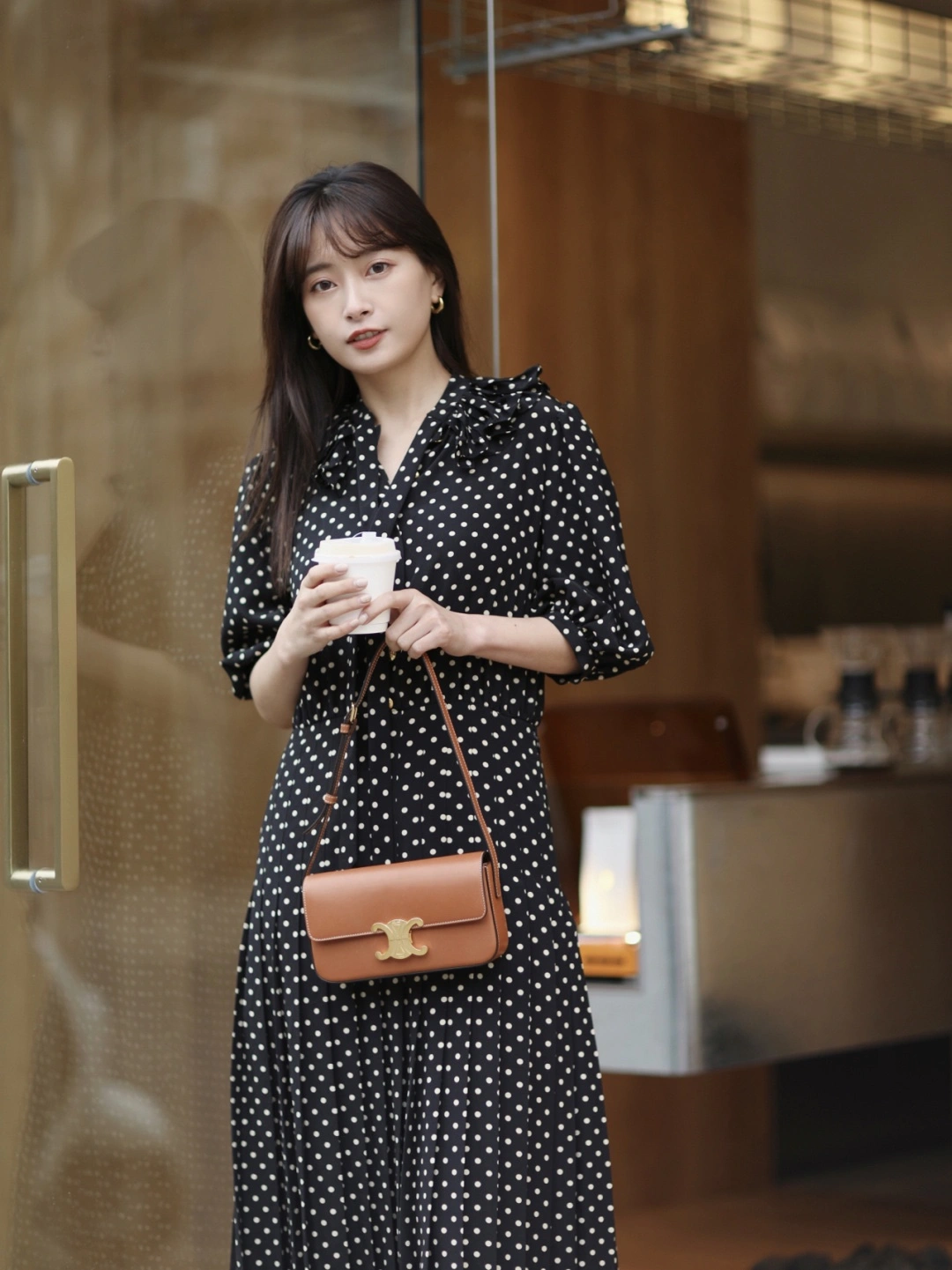 ModernLook Celine Triomphe Bags 94495