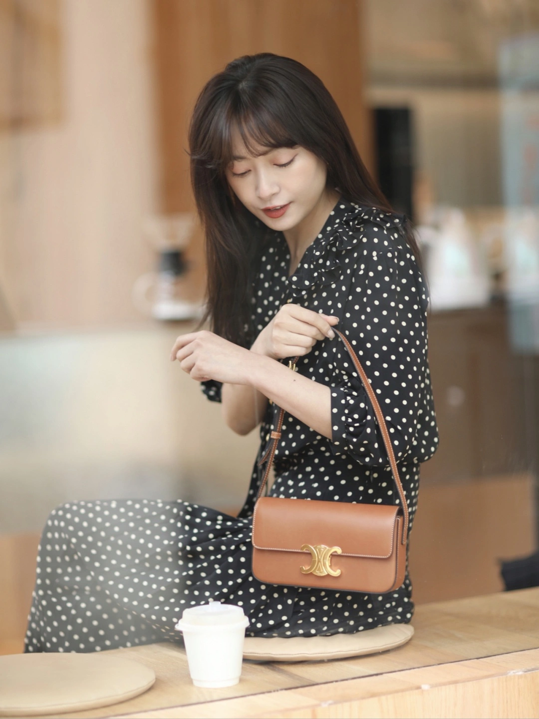ModernLook Celine Triomphe Bags 94495