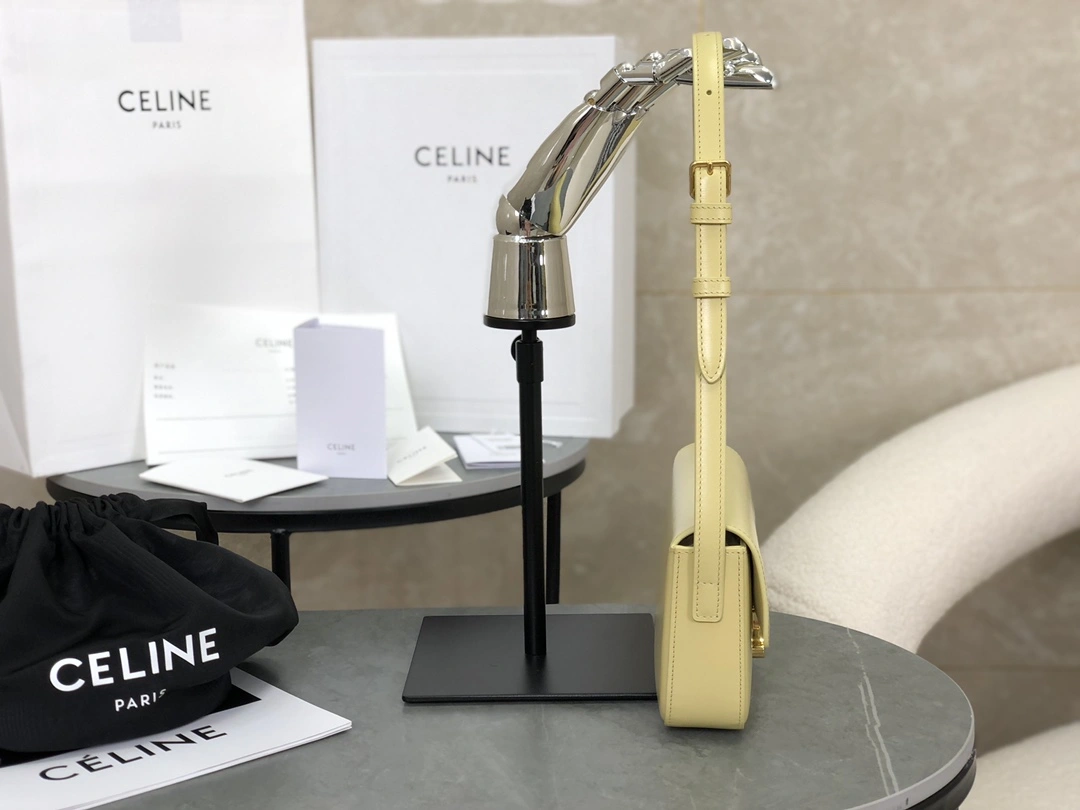 GoodFit Celine Triomphe Bags 94496
