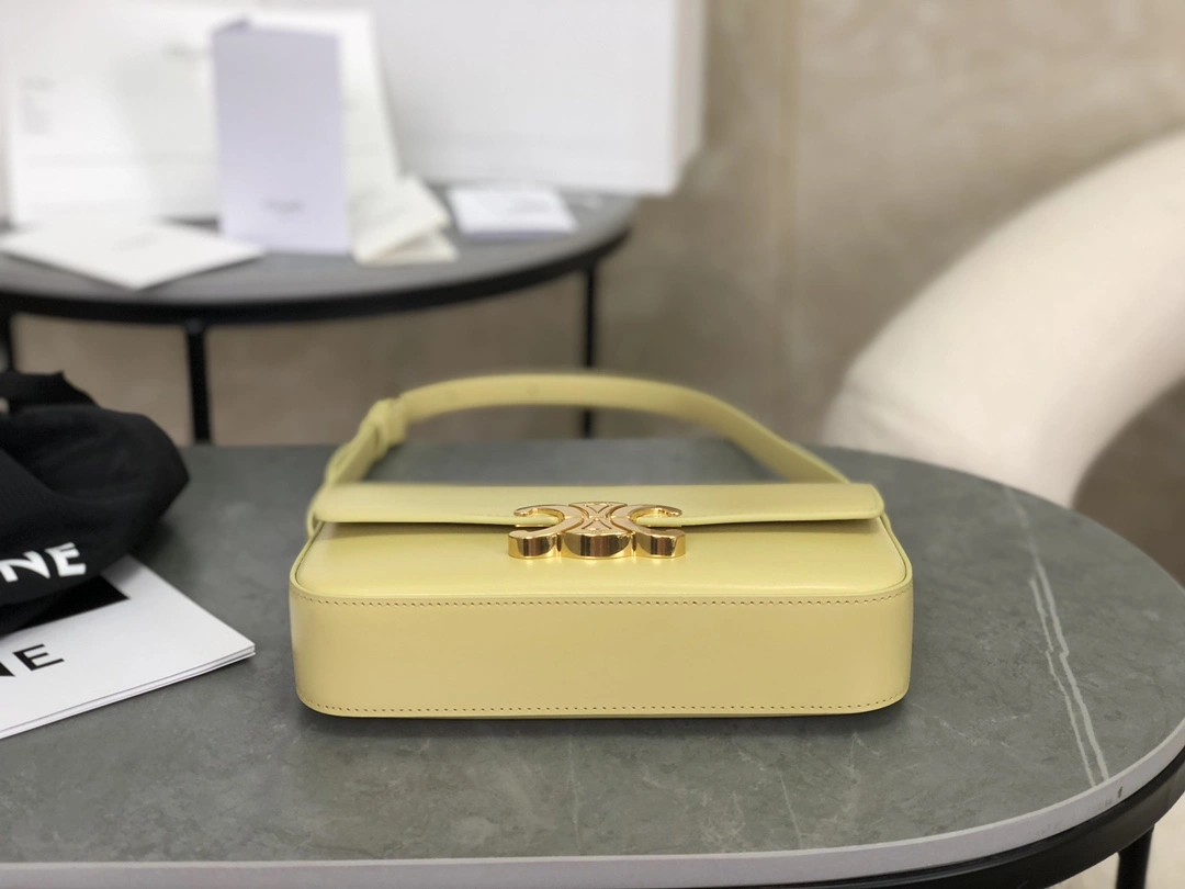 GoodFit Celine Triomphe Bags 94496