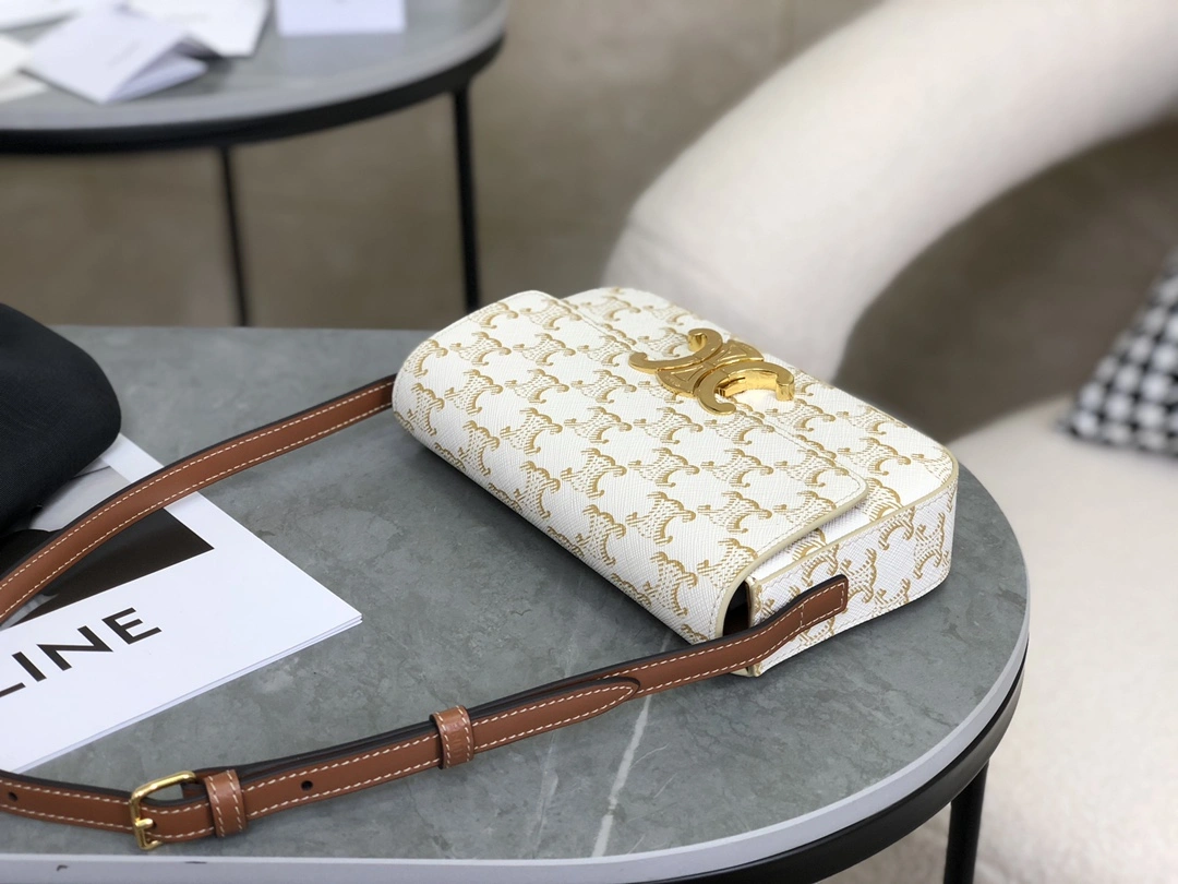 GoAnywhere Celine Triomphe Bags 94488