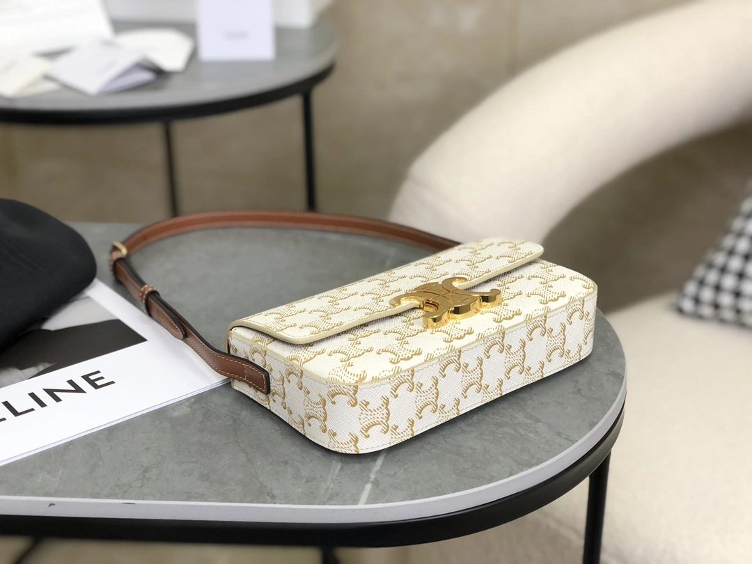 GoAnywhere Celine Triomphe Bags 94488