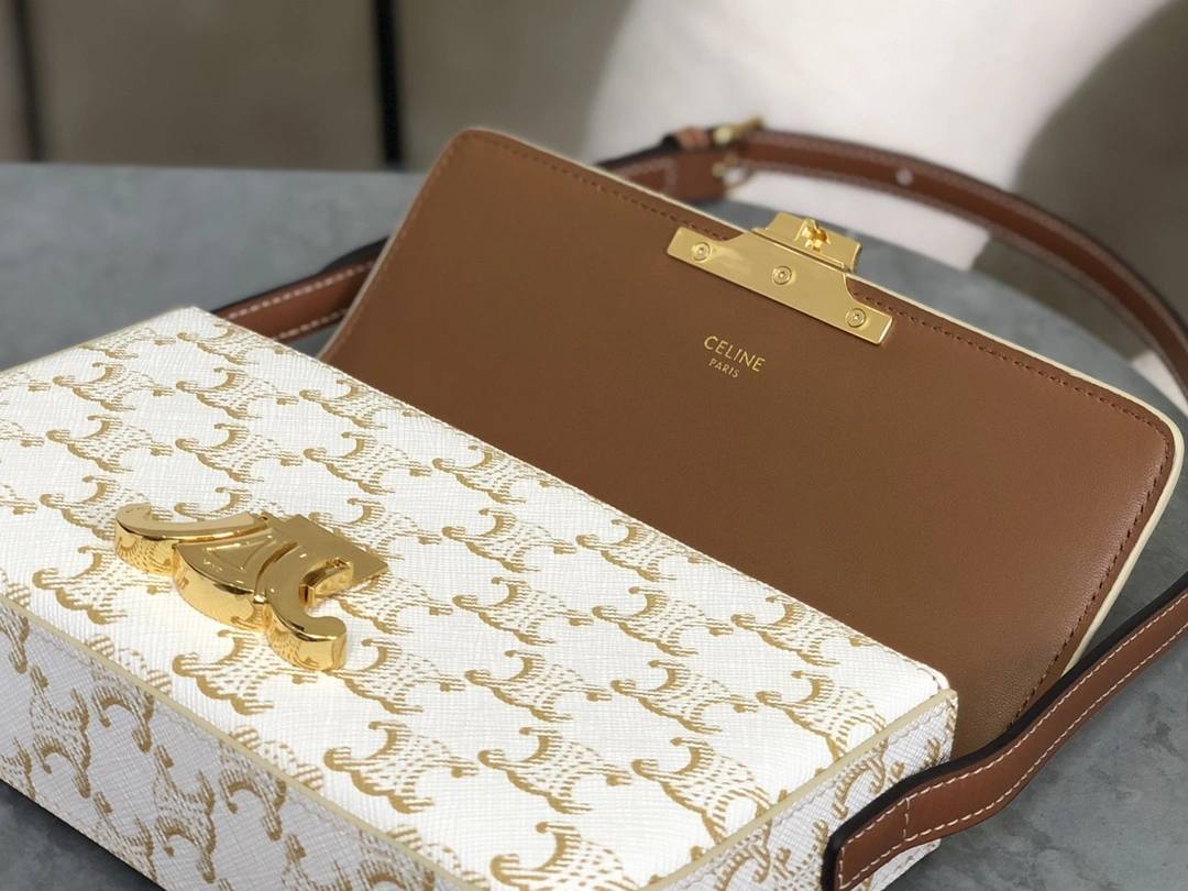 GoAnywhere Celine Triomphe Bags 94488