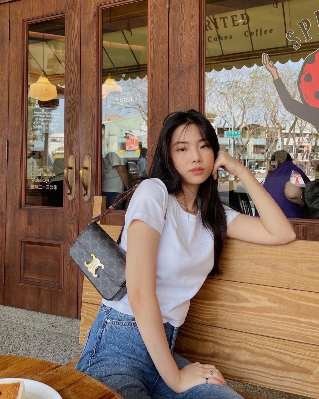 Durable Celine Triomphe Bags 94490