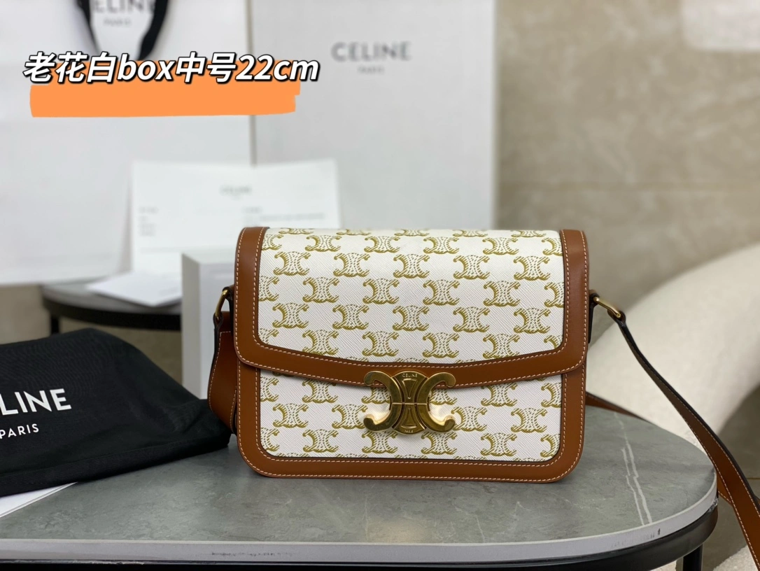 Sophisticated Celine Triomphe Bags 94526