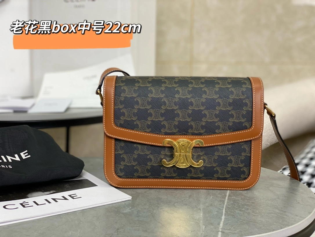 ModernLook Celine Triomphe Bags 94486
