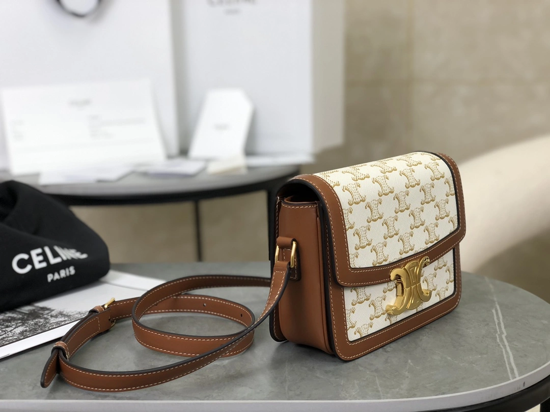 Celine Triomphe Bags Bold 94554