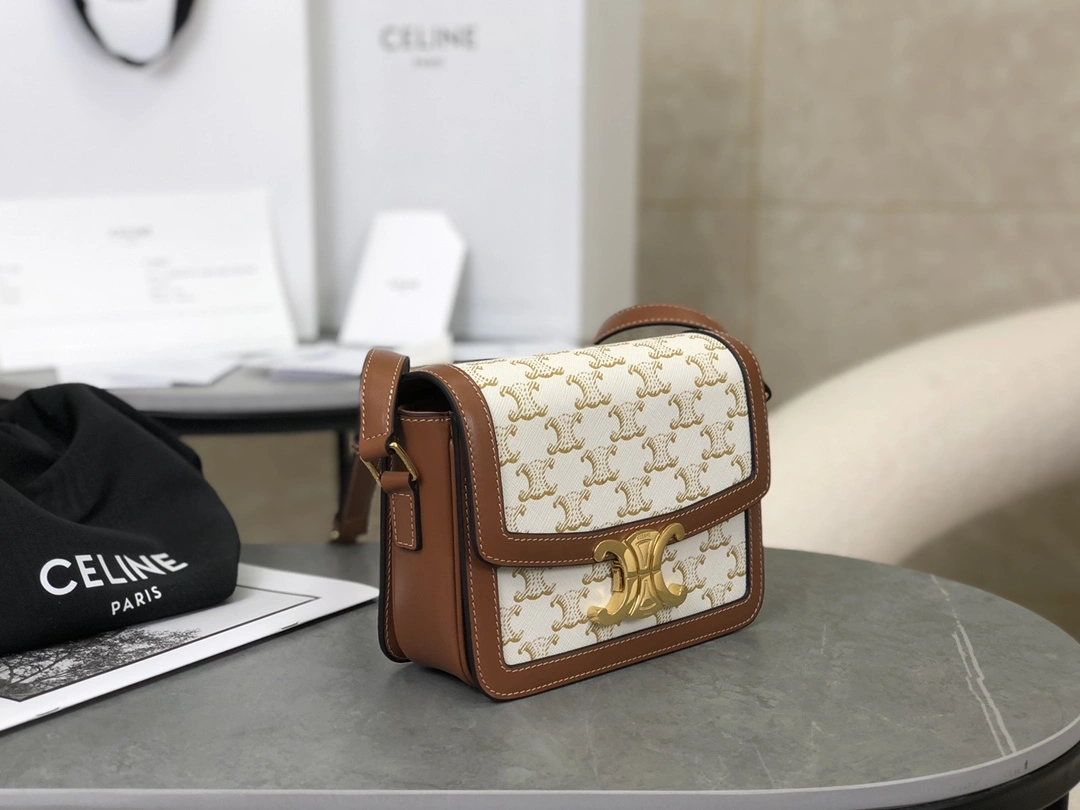 Celine Triomphe Bags Bold 94554