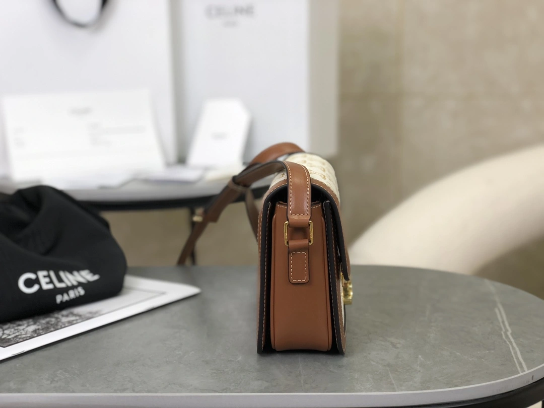 Celine Triomphe Bags Bold 94554