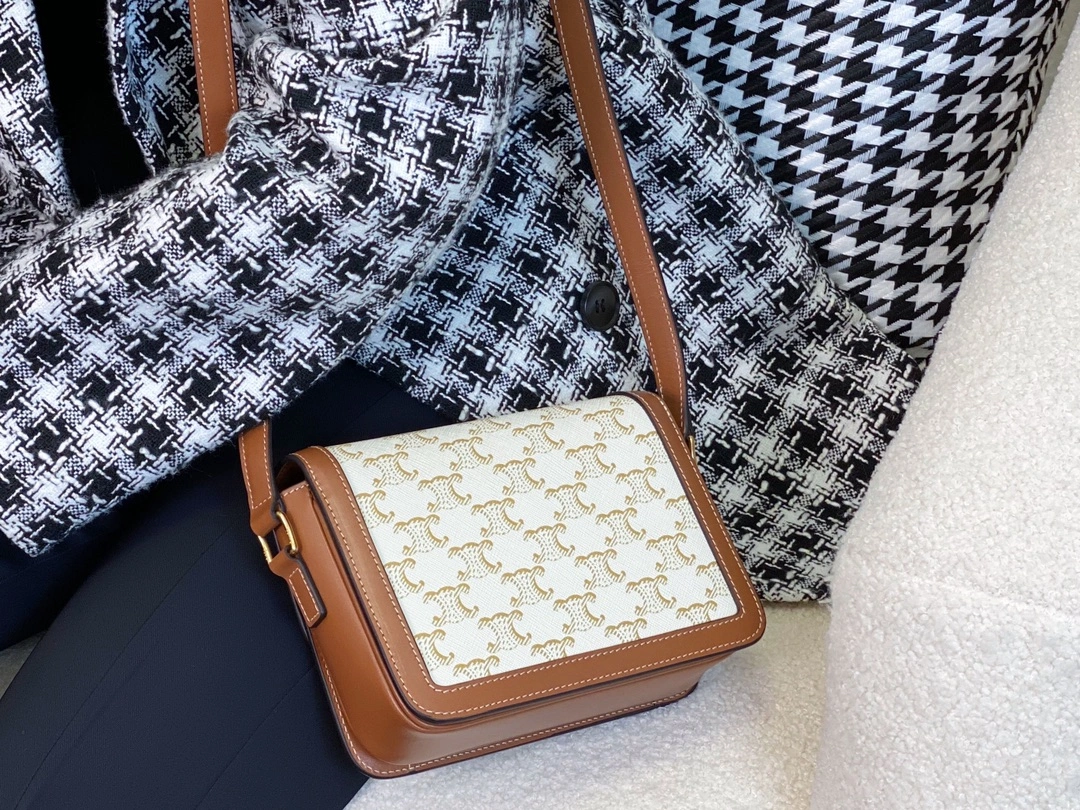 Celine Triomphe Bags Bold 94554