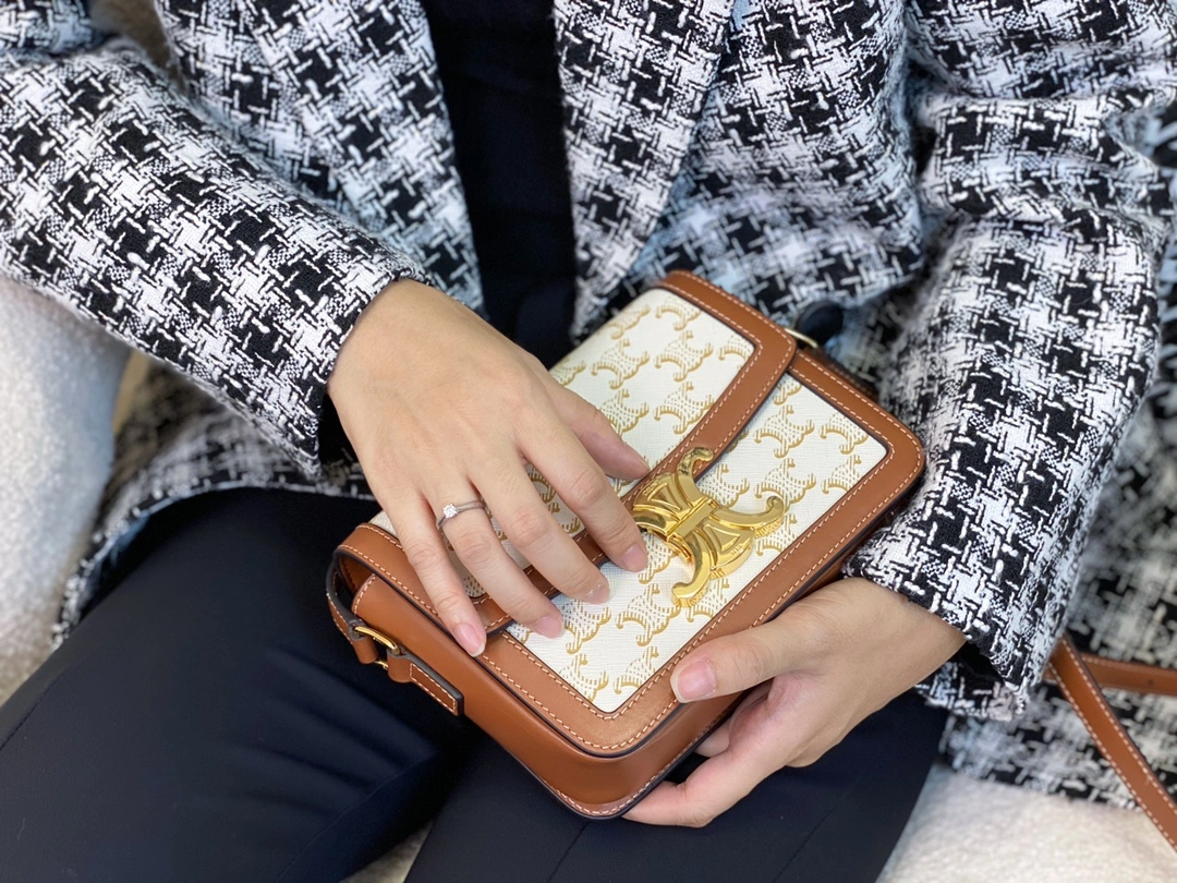 Celine Triomphe Bags Bold 94554