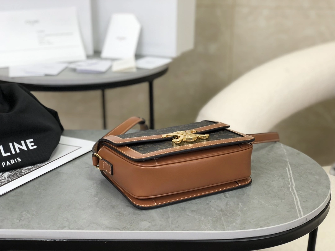 MultiPurpose Celine Triomphe Bags 94483
