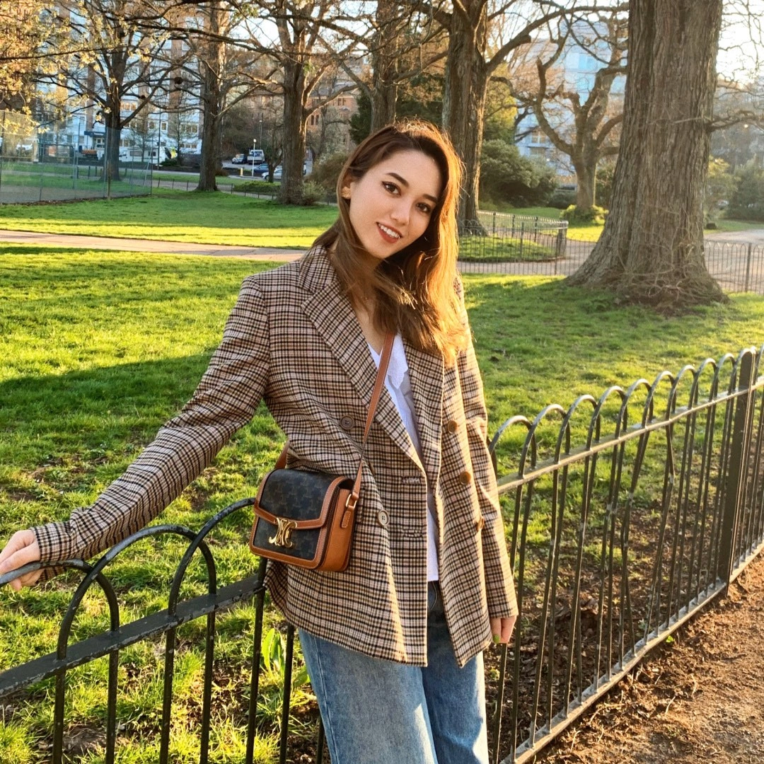 MultiPurpose Celine Triomphe Bags 94483