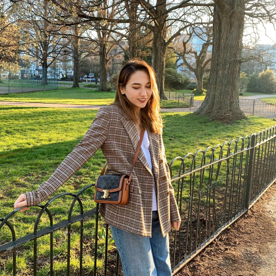 MultiPurpose Celine Triomphe Bags 94483