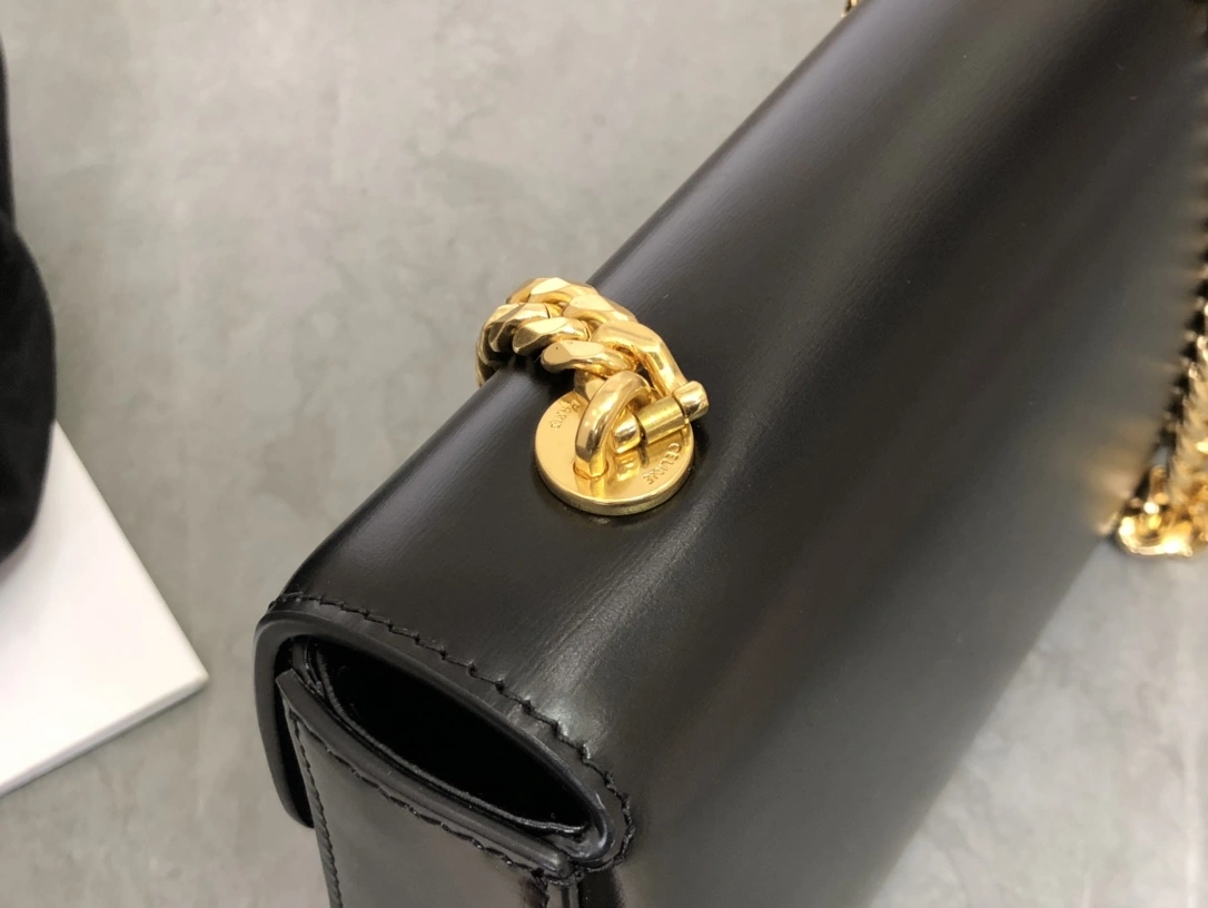 TravelReady Celine Triomphe Bags 94480