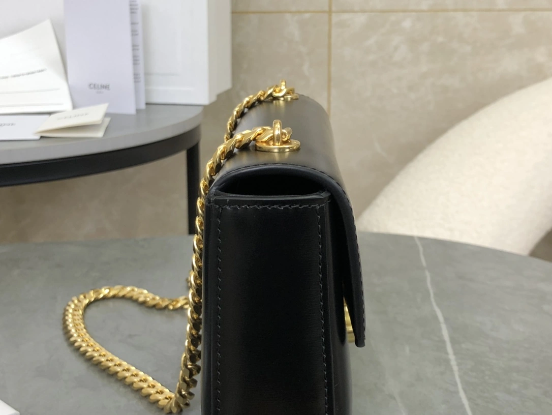 TravelReady Celine Triomphe Bags 94480