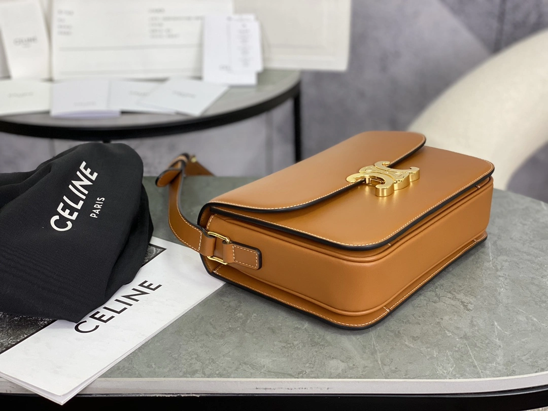 Celine Triomphe Bags Sleek 94473