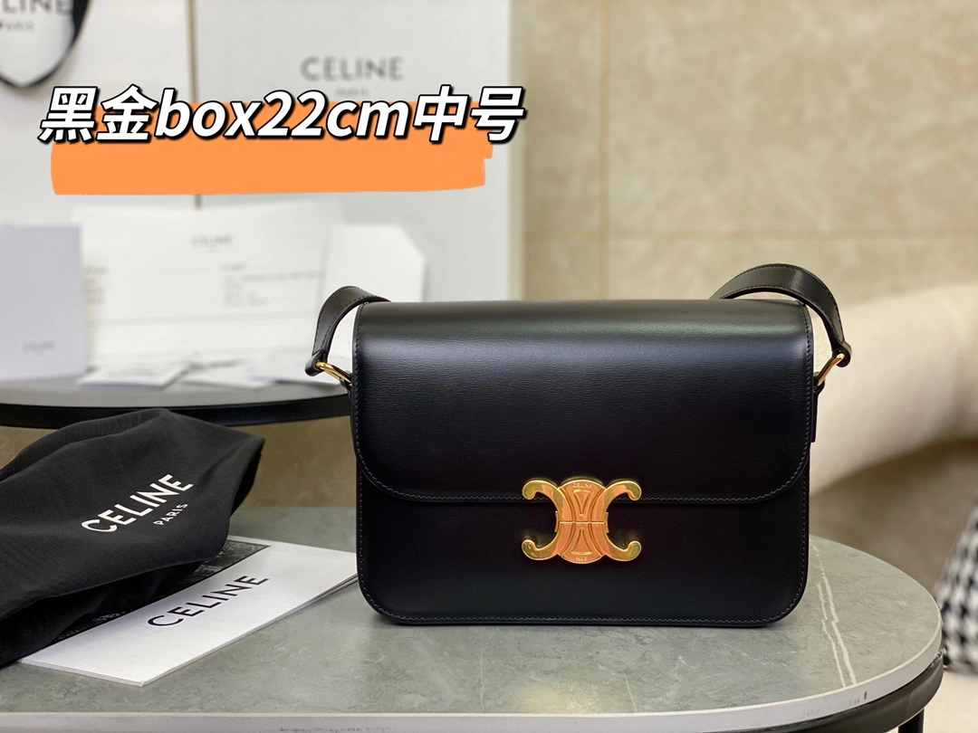 Celine Triomphe Bags Elegant 94475