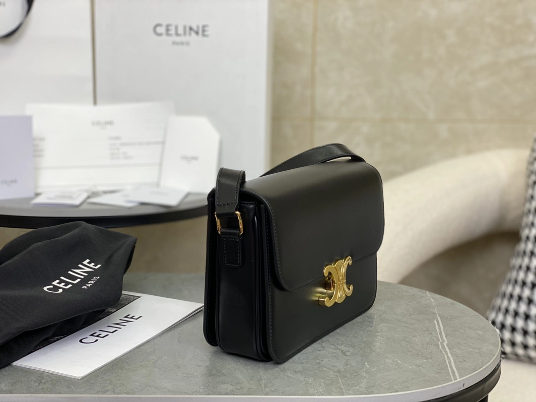 Celine Triomphe Bags Elegant 94475