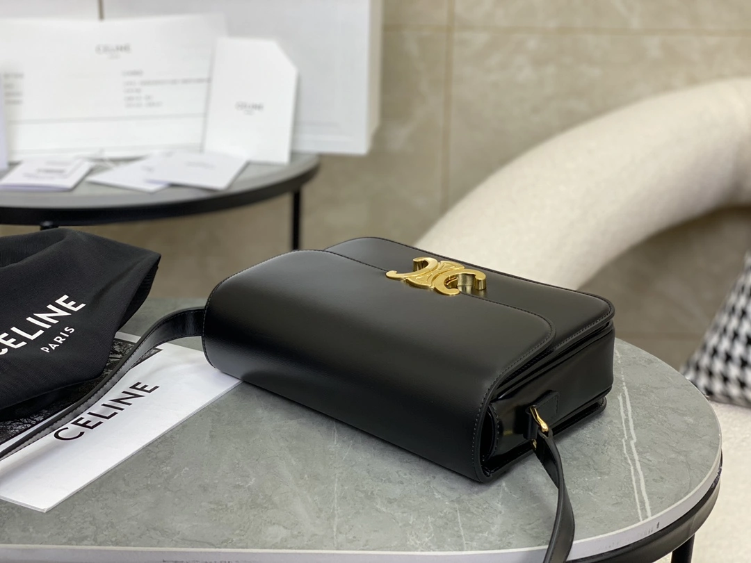 Celine Triomphe Bags Elegant 94475