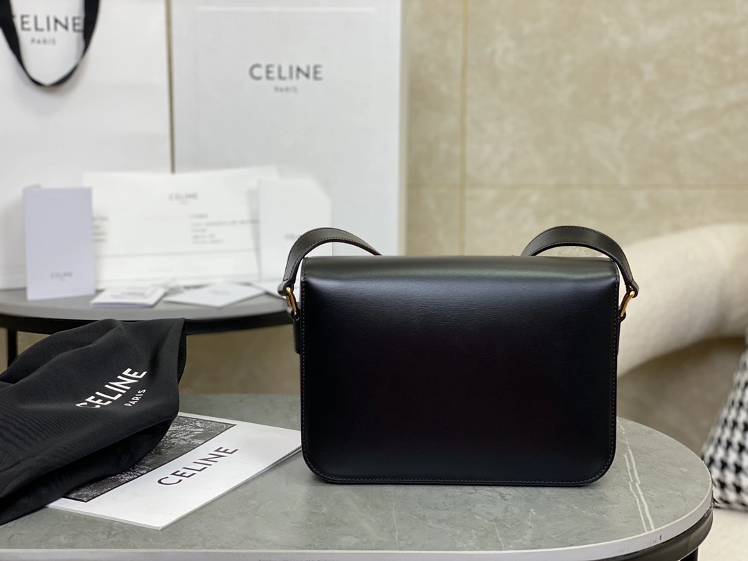 Celine Triomphe Bags Elegant 94475