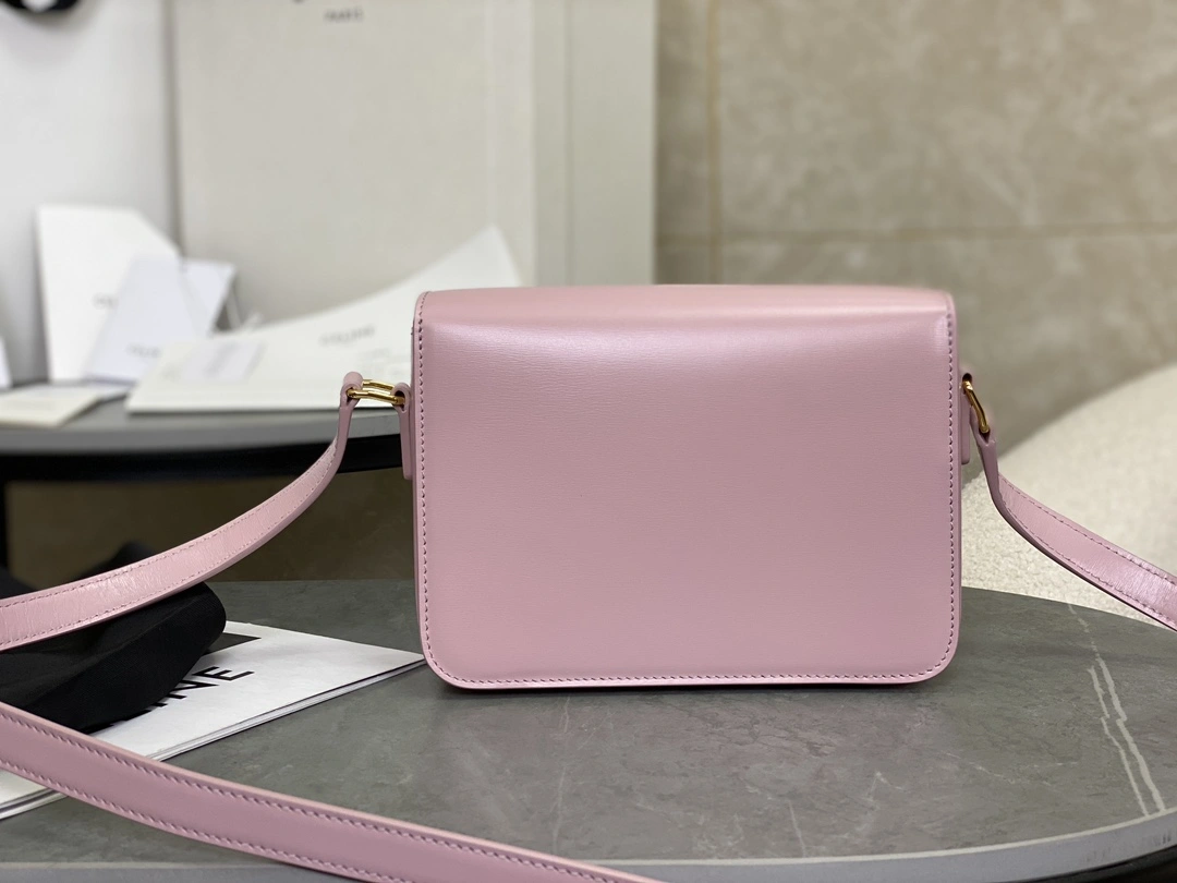 QuickDry Celine Triomphe Bags 94474
