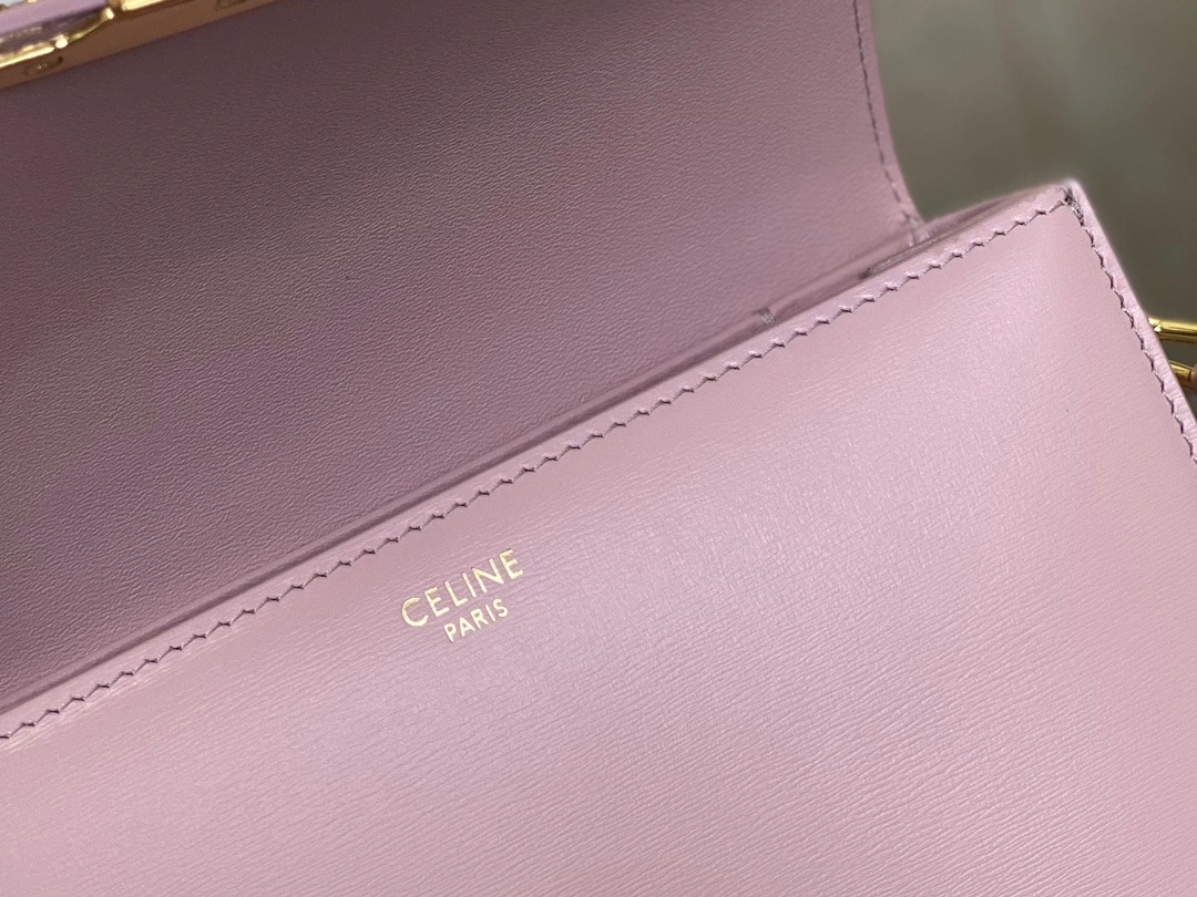 QuickDry Celine Triomphe Bags 94474