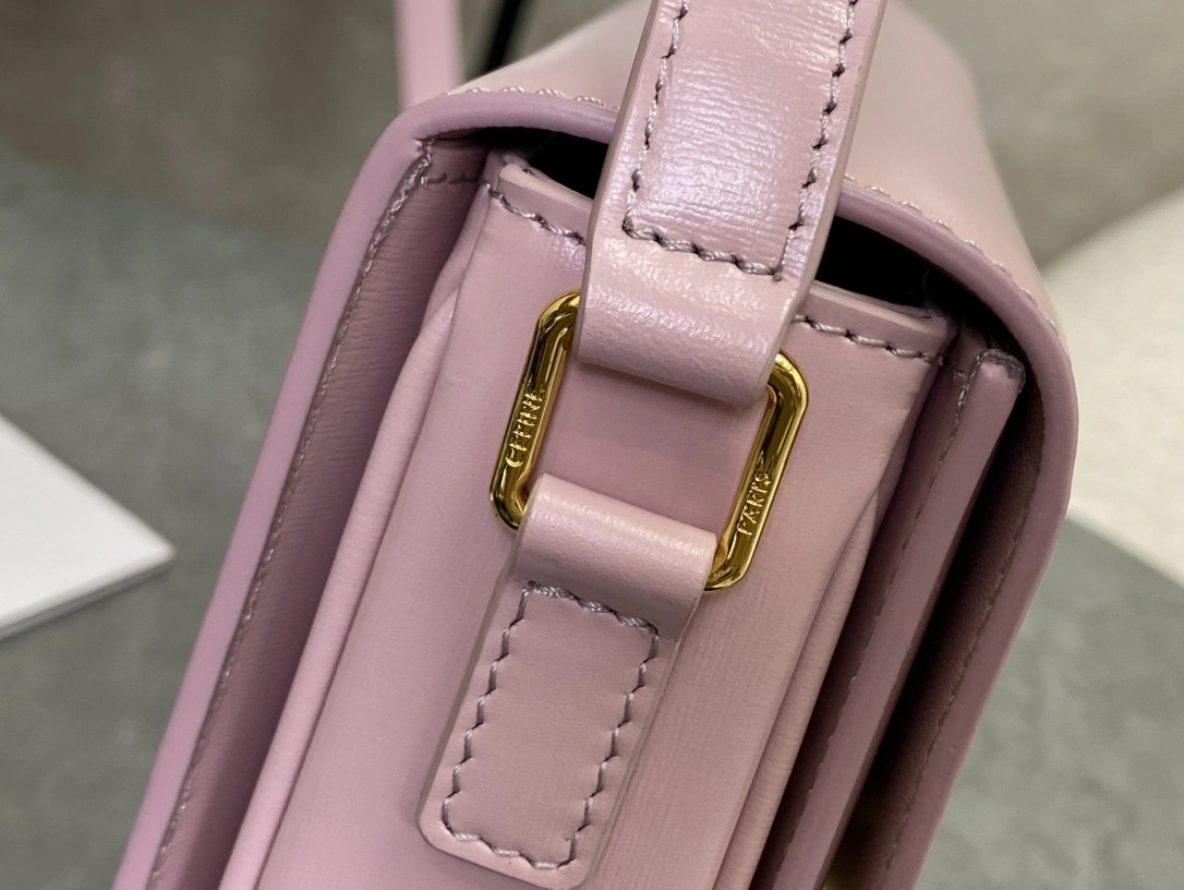 QuickDry Celine Triomphe Bags 94474