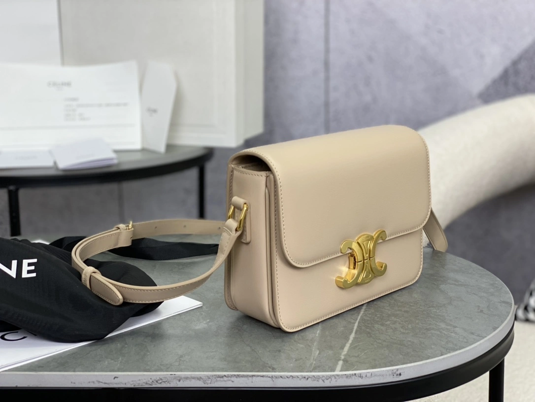 Celine Triomphe Bags Versatile 94478