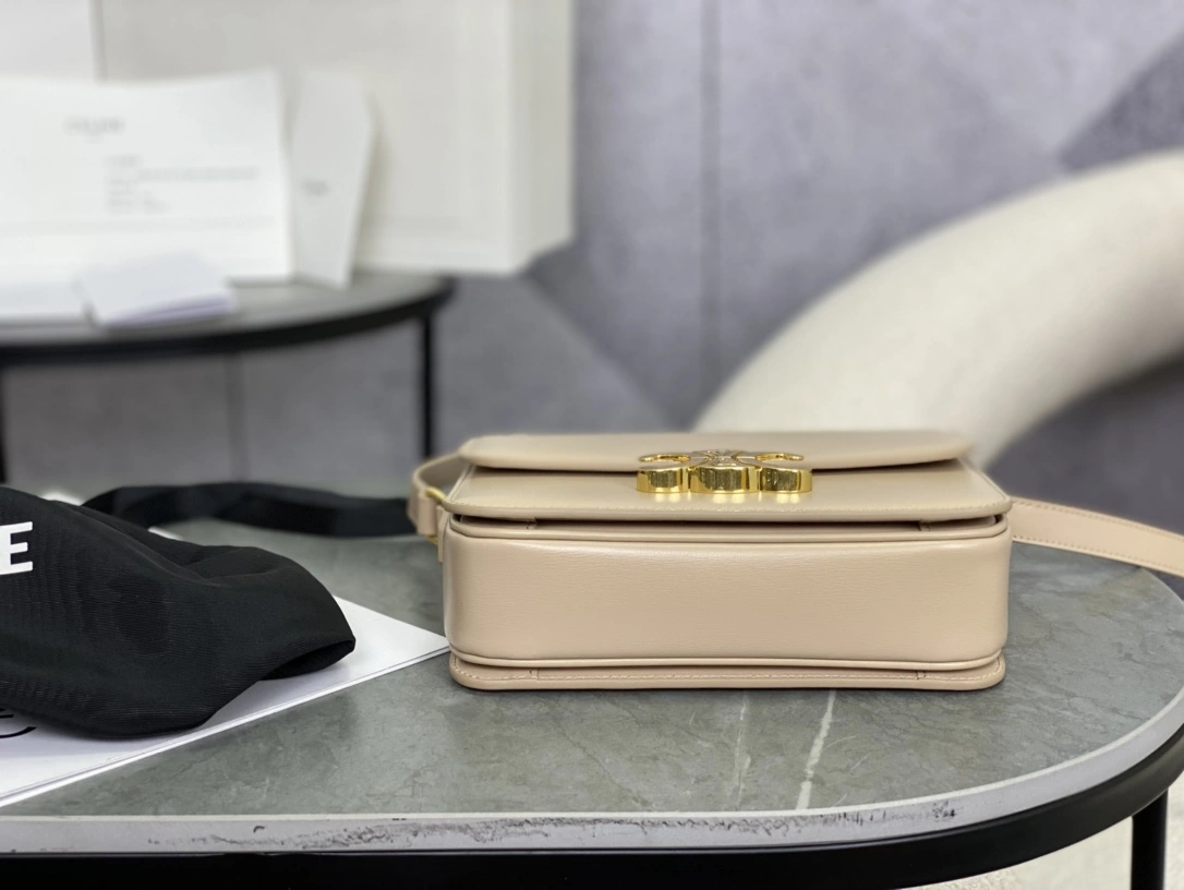 Celine Triomphe Bags Versatile 94478