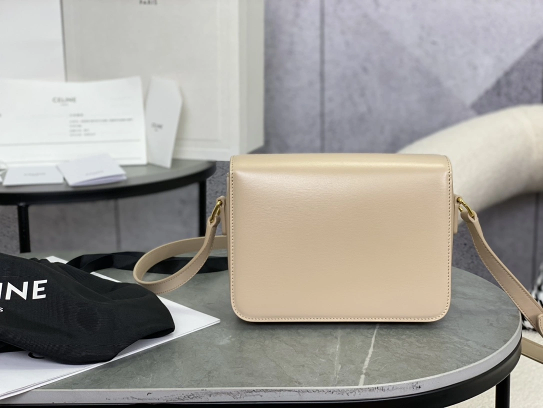 Celine Triomphe Bags Versatile 94478