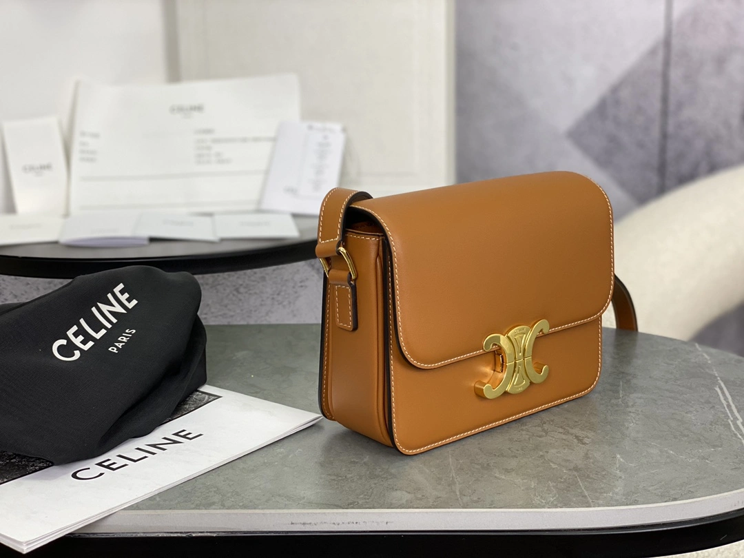 Celine Triomphe Bags WeatherProof 94514