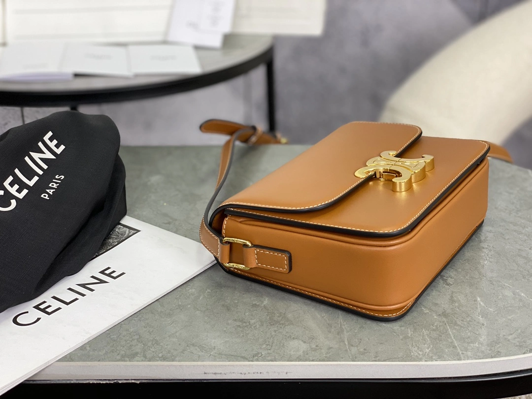 Celine Triomphe Bags WeatherProof 94514