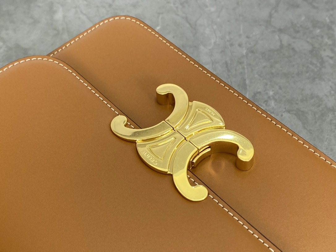 Celine Triomphe Bags WeatherProof 94514