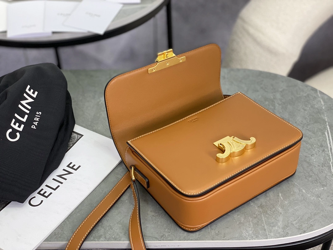 Celine Triomphe Bags WeatherProof 94514