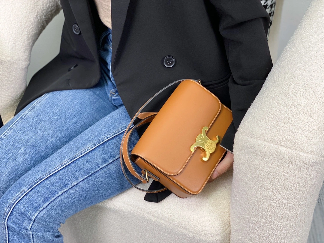 Celine Triomphe Bags WeatherProof 94514