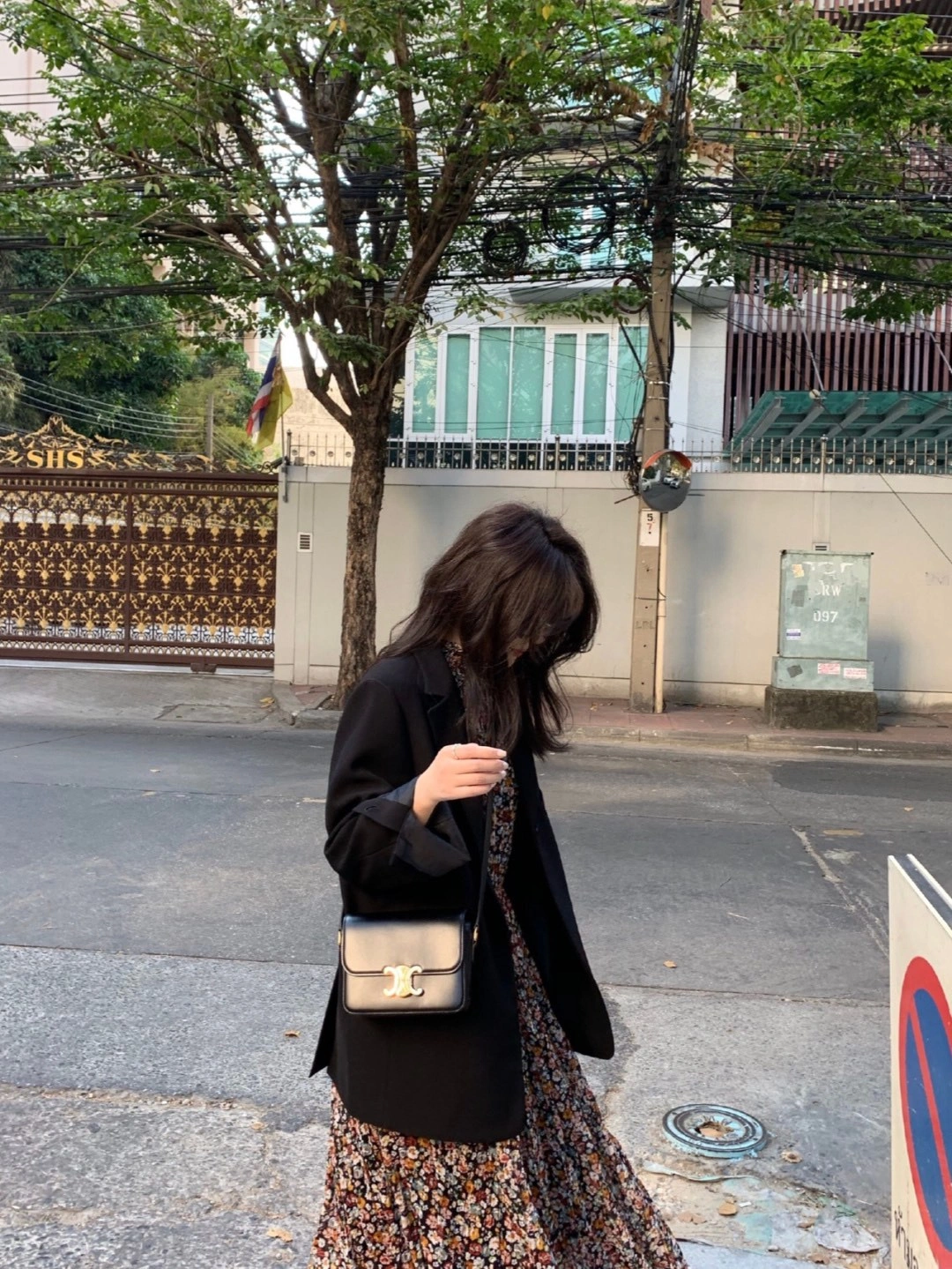 Celine Triomphe Bags Original 94472