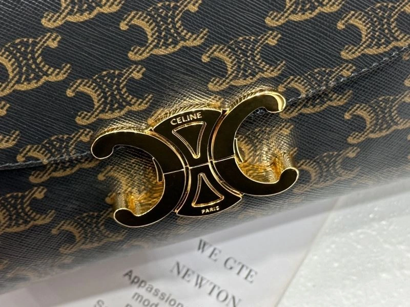 Thermal Celine Triomphe Bags 94459