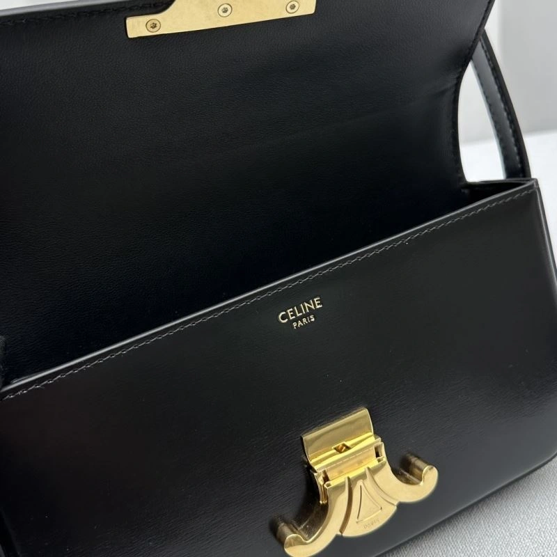 Vibrant Celine Triomphe Bags 64316