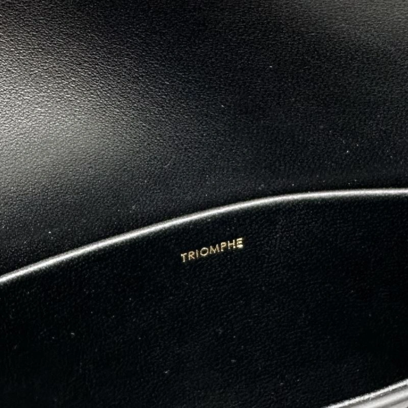 Vibrant Celine Triomphe Bags 64316